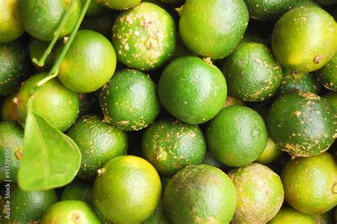 lemonsito in english|LIMONSITO (Tagalog).